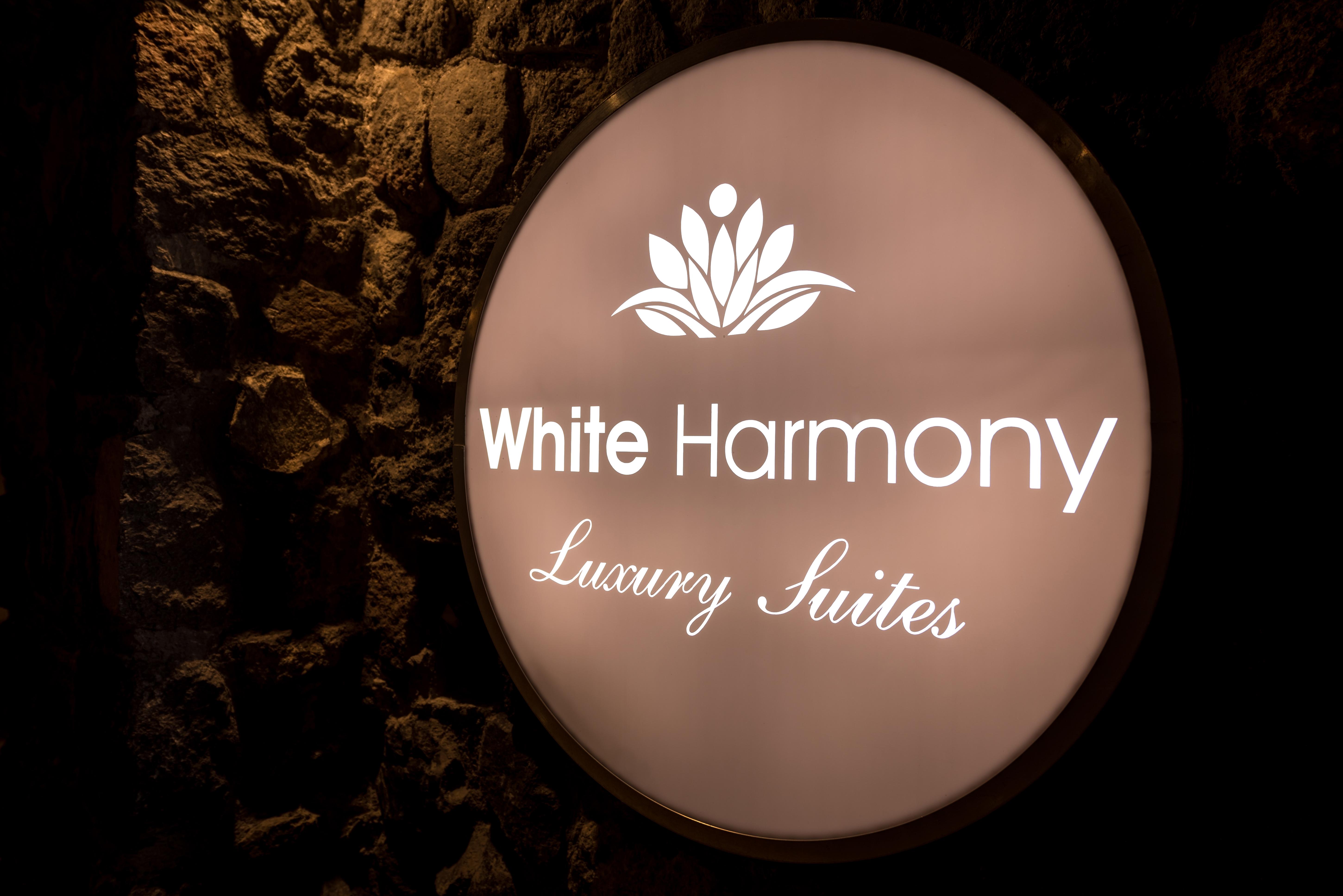 White Harmony Suites Мегалохори Екстериор снимка