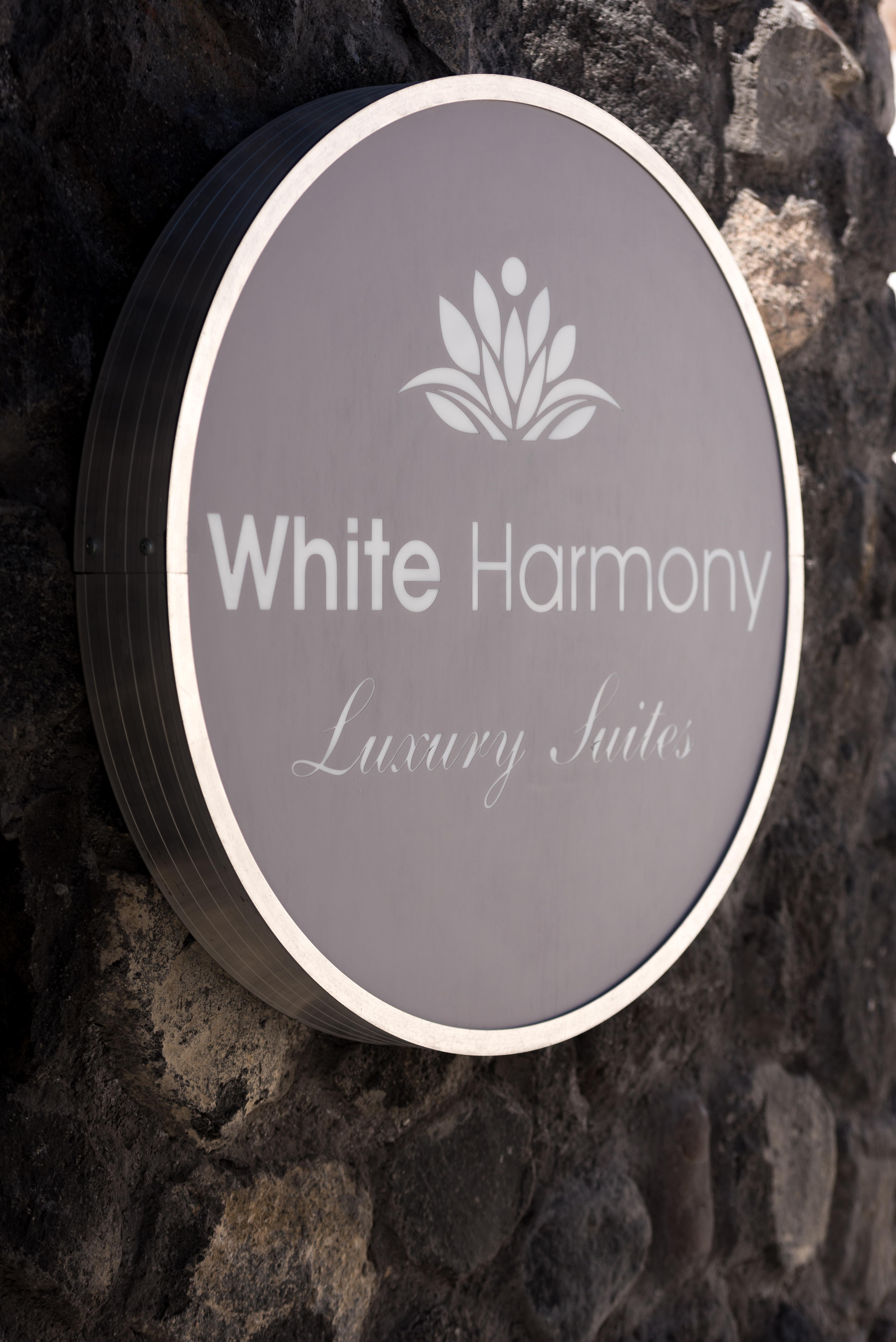 White Harmony Suites Мегалохори Екстериор снимка